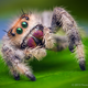 Illustration for article titled Alien monsters or awesome spiders, I just love these little guys